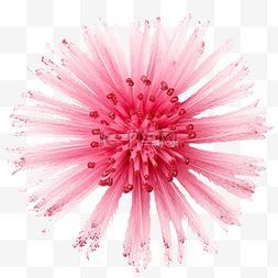 花粉背景图片_孤立的粉红色花粉