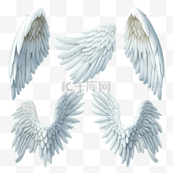 一套不同的逼真 3D 白色天使翅膀