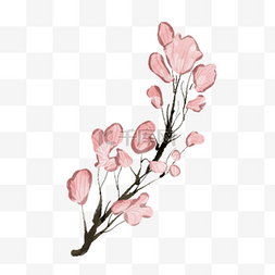 粉色樱花桃花