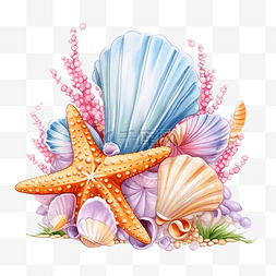 水螺旋图片_彩色热带贝壳与珍珠水下插图