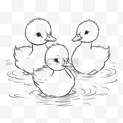 小鸭子的羽毛图片_水中的三只小鸭着色页轮廓素描 