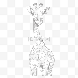 线描长颈鹿图片_在白色背景上绘制的大长颈鹿着色