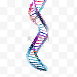 螺旋模式图片_DNA基因组