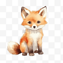 可爱的水彩狐狸