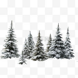 下雪图片下雪天气图片_冬季降雪后雪中的森林小圣诞树