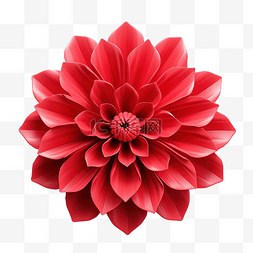 红色的花 3d 渲染