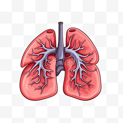 肺部卡通人物器官