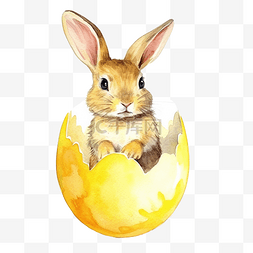 黄色鸡蛋上的兔子水彩