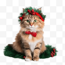 绿色猫头图片_头上有红色装饰的绿色圣诞花环猫