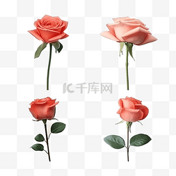 母亲节装饰品图片_从所有四个侧面分离的玫瑰花情人