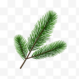 新树枝图片_一棵简单的圣诞树松树枝绿树枝圣