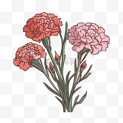 康乃馨剪贴画 美丽的花朵 彩色康