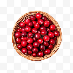 国庆节图片_蔓越莓国庆节和感恩节篮子里的顶