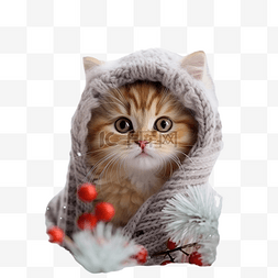一只戴着针织围巾的猫在圣诞树附