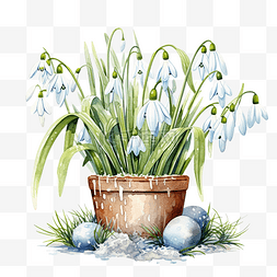 兔子耳朵图片_花盆里的雪花莲花和复活节彩蛋复