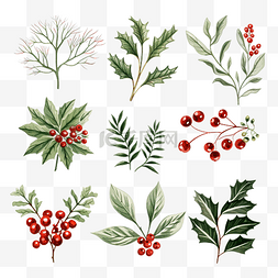 一组矢量图案与圣诞冬青树枝叶花