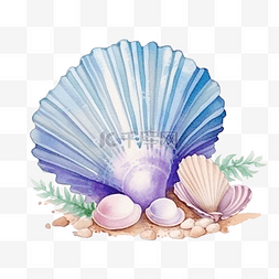 海滩夏日插画上的水彩贝壳夏季元