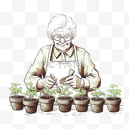 奶奶在菜园里种植之前在花盆里摆