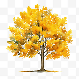 黄叶植物图片_秋树黄叶水彩插图装饰元素