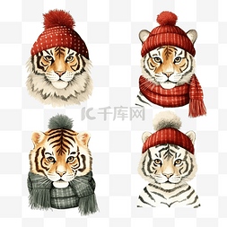一组戴着针织圣诞帽和围巾的老虎