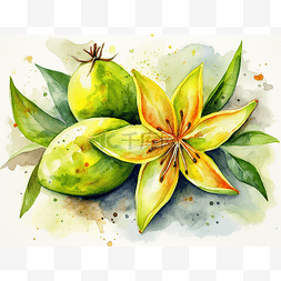 黄色和绿色水果的水彩插图