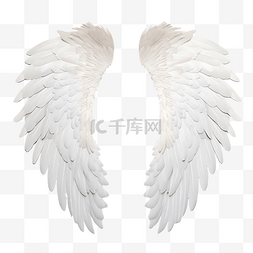 天使的翅膀 羽毛 白色