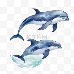 鲸鱼和海洋