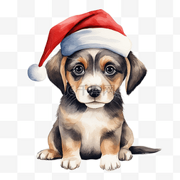 水彩圣诞小狗戴帽子手绘插画可爱