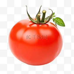 新鲜多汁的红番茄特写