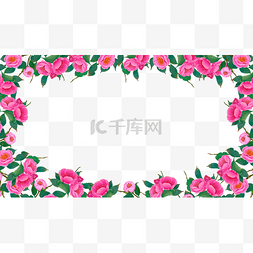 绽放的粉色花瓣图片_山茶花水彩风格花卉边框