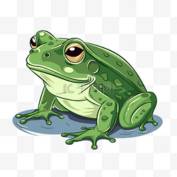 牛蛙剪贴画有趣的卡通青蛙矢量