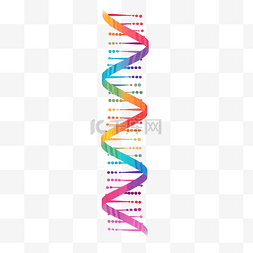 最小化图片_最小风格的 DNA 和基因插图