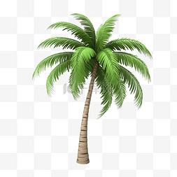 棕榈椰子树 3d 模型