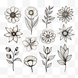 线条艺术花集黑色和白色细线形花