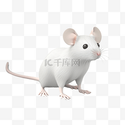 鼠光标手图片_鼠标 3d 插图