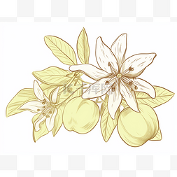 水果杨桃图片_水果的分支，上面有花和桃子