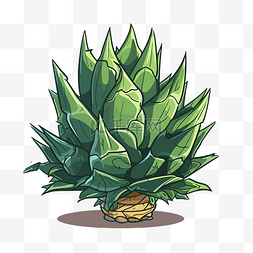 绿色植物的龙舌兰剪贴画卡通插图