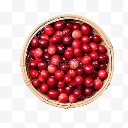 健康饮食的图片_蔓越莓国庆节和感恩节篮子里的顶