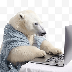 北极熊在笔记本电脑前编织