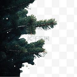黑夜散景中圣诞树枝的插图
