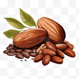 巧克力豆巧克力图片_可可 可可豆 png 插图