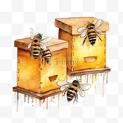 水彩蜜蜂农场元素