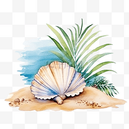 贝壳沙图片_海滩夏日插画上的水彩贝壳夏季元