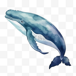鲸鱼水彩海洋动物剪贴画