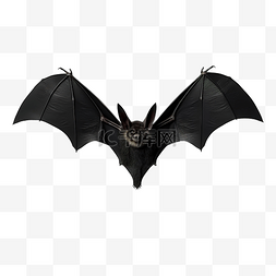 德古拉伯爵吸血鬼的蝙蝠