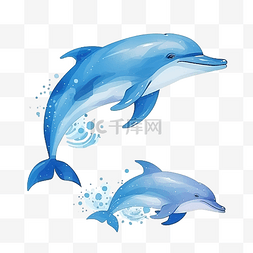 潜水图片_海豚蓝色png插图海洋动物