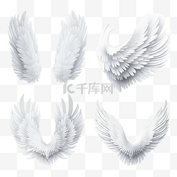 鹰的翅膀卡通图片_一套不同的逼真 3D 白色天使翅膀