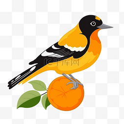 黄莺剪贴画橙叶插画卡通上的黑白