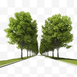 有树和草的公共道路