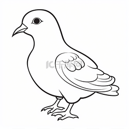 鸽子鸟卡通绘图图像收集免费着色